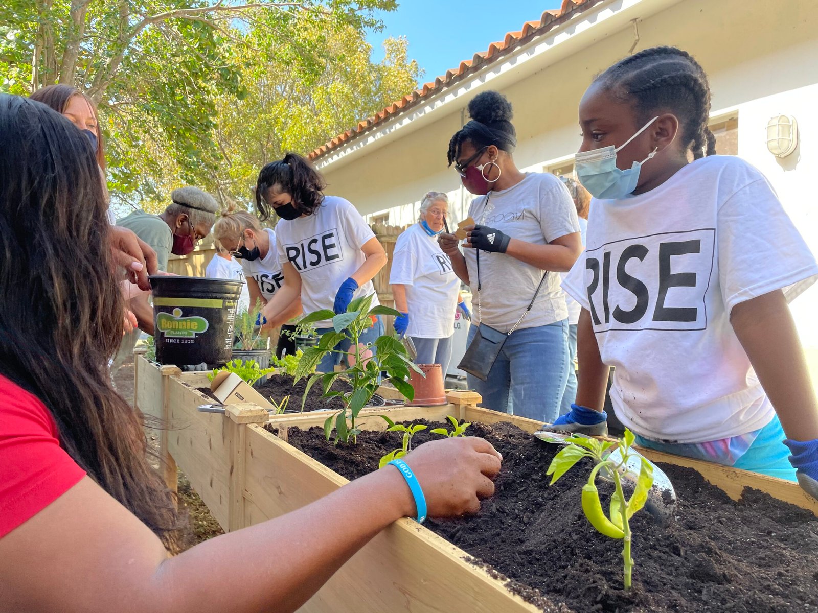 Volunteers tending crops in a community garden as part of Operation No Food Gap’s fight against food insecurity in Palm Beach County.