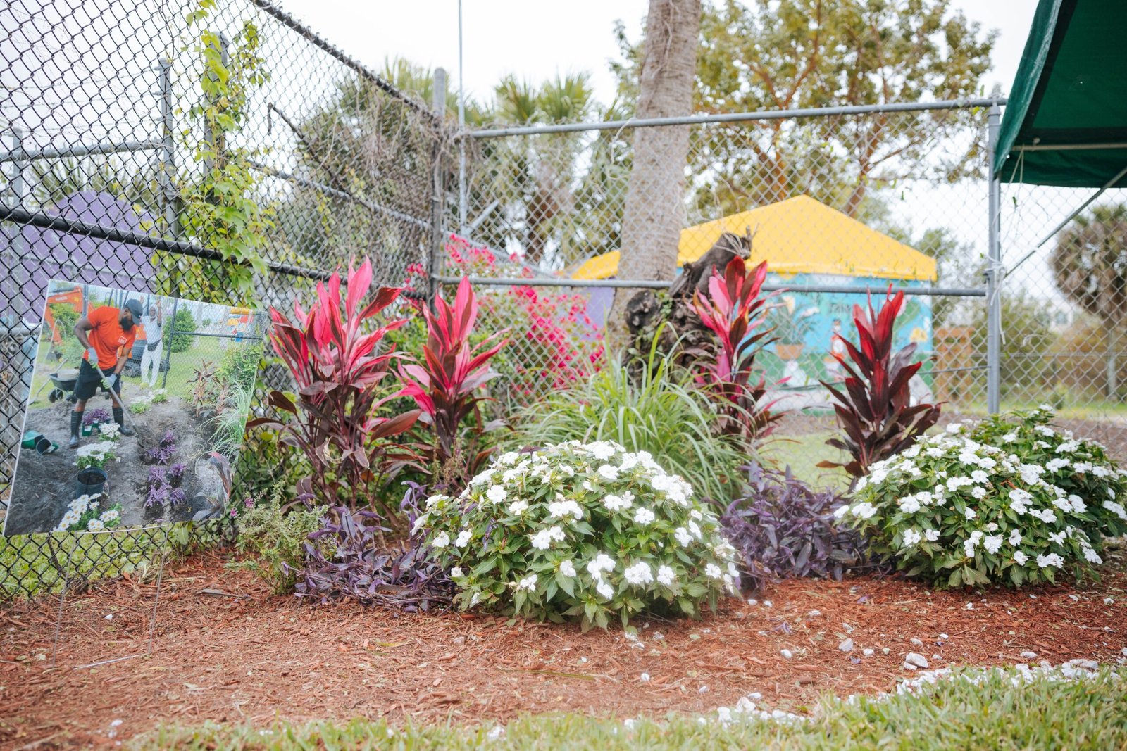 A beautiful garden planted and cultivated by volunteers.