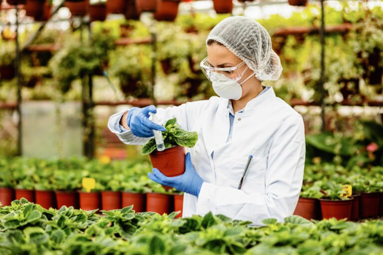 Scientist nurturing plants in greenhouse.